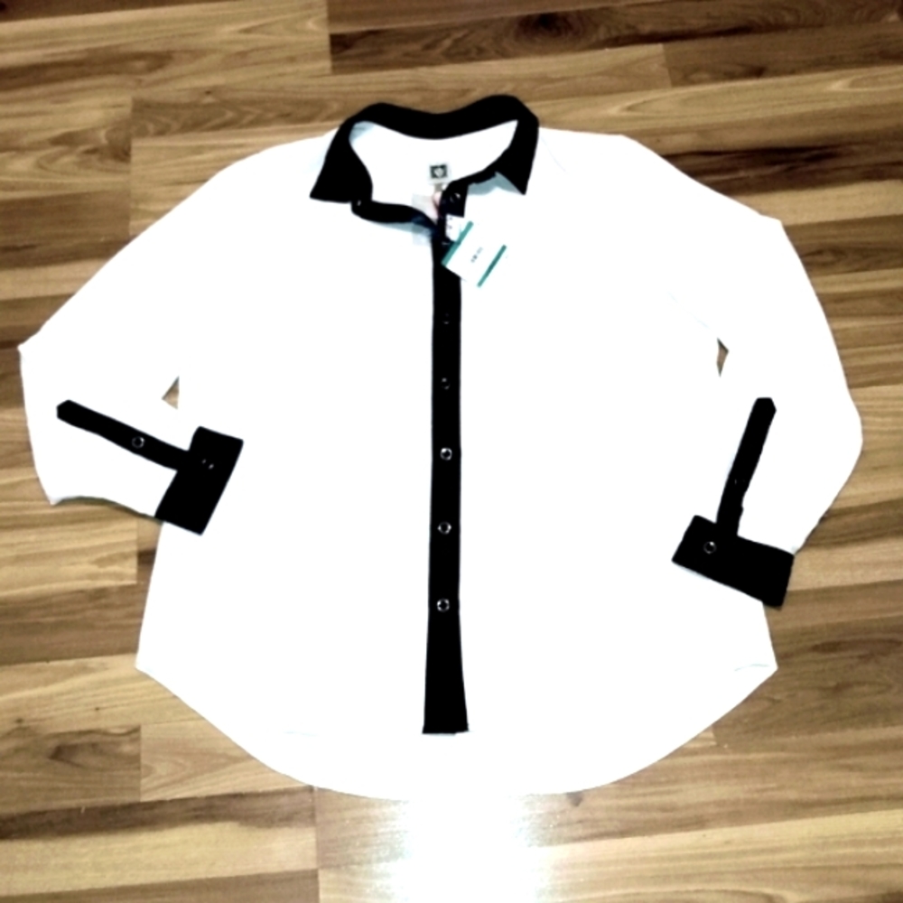 Anne Klein Sheer size 16 button down Blouse